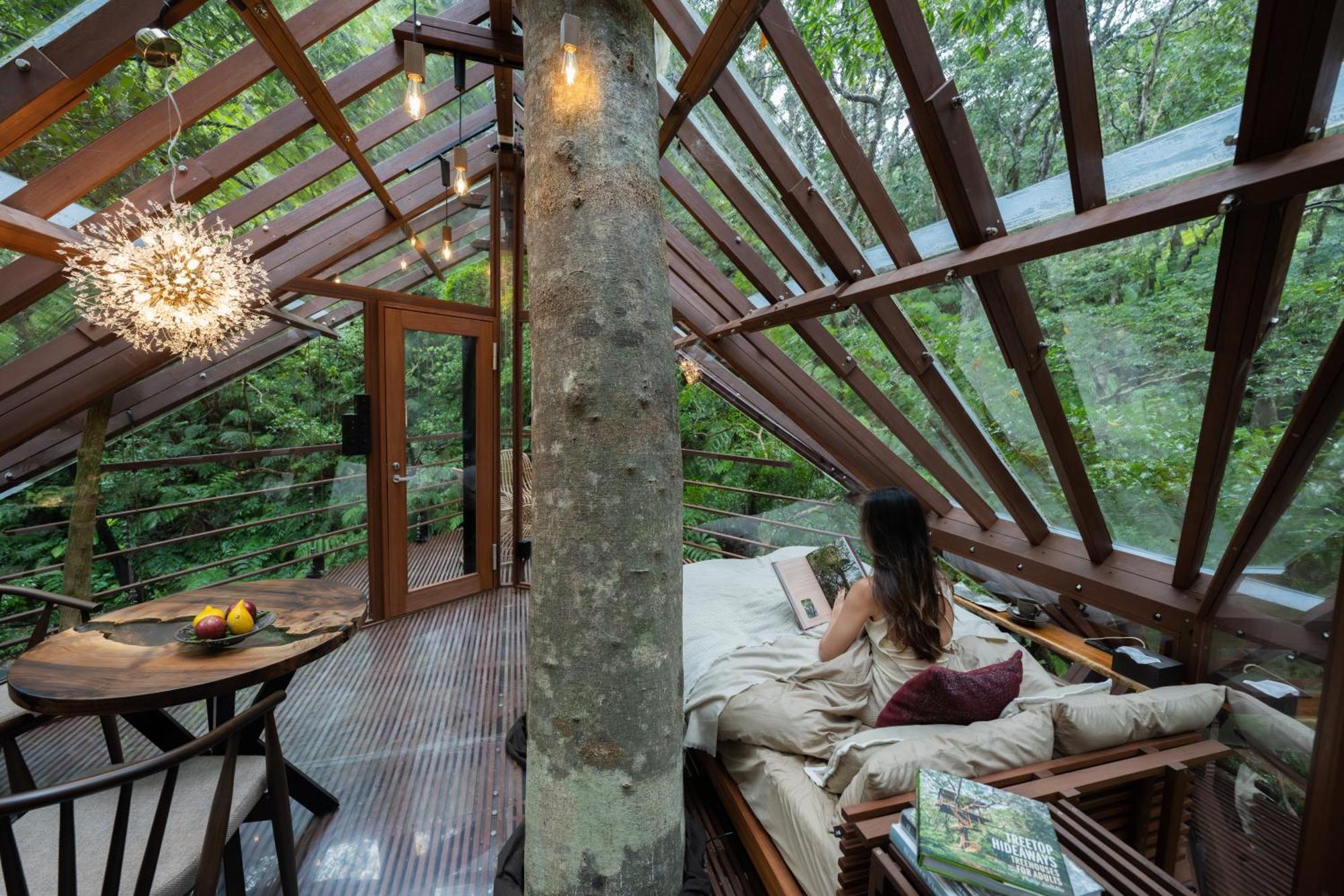 Treeful Treehouse Sustainable Resort Наго Екстериор снимка