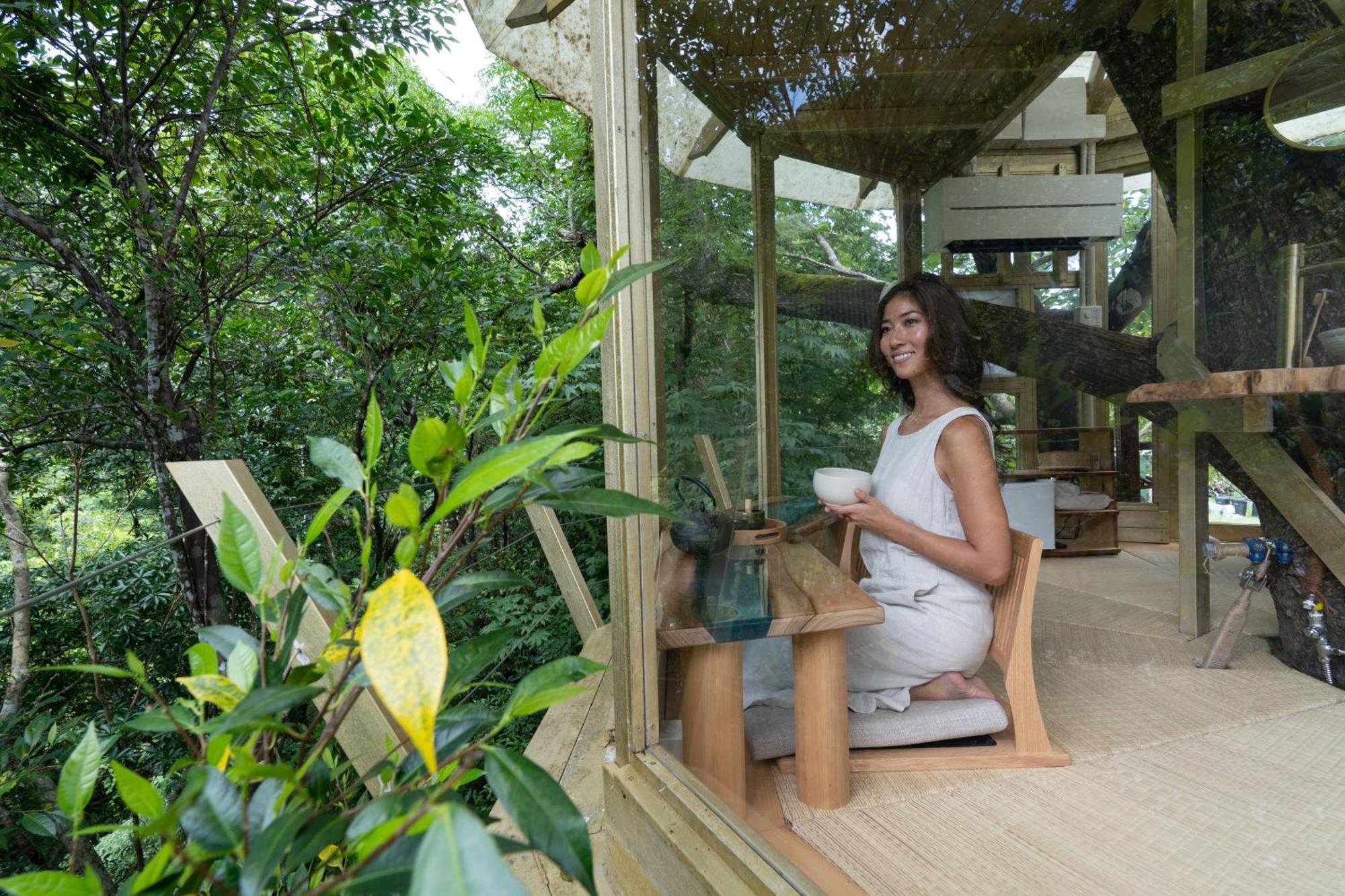 Treeful Treehouse Sustainable Resort Наго Екстериор снимка